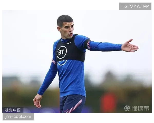 凯恩大场面表现稳定性分析