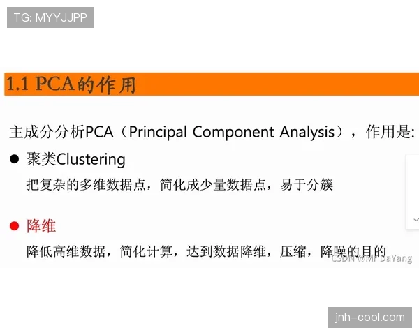 穆西亚拉技术与决策能力的进阶逻辑：从天赋兑现到体系适配